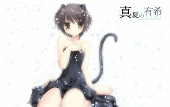 Nagato Yuki Wallpaper Nekomimi The