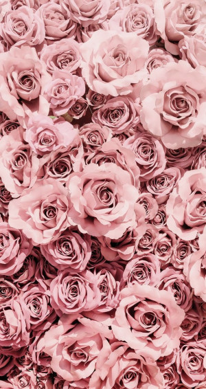 Wallpaper Phone iPhone Android Simple Aesthetic Flowers