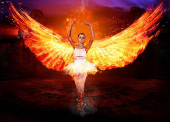 Top Fire Wings Wallpaper Full HD 4k To Use