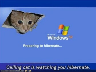 Funny Windows Best Logos And Wallpaper Pictures