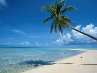 Beach Paradise Wallpaper Here You Can See