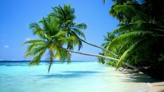 Tropical Beach Desktop Wallpaper Pixel Popular HD