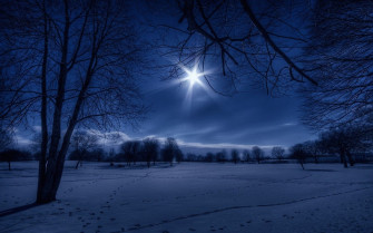 Wallpaper Winter Scenes