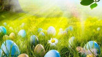 Easter Eggs Field HD Wallpaper Wallpaperfx
