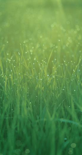 To Ios Wallpaper Simply Tap Or Click On A