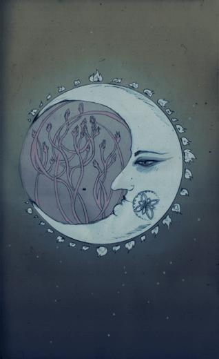 Media Luna On