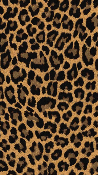 Animal Print iPhone Wallpaper