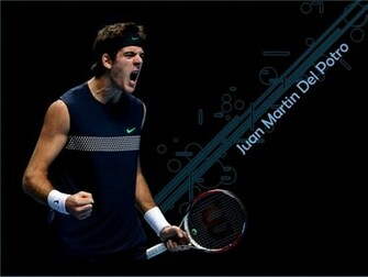 Fonds D Cran Juan Martin Del Potro Tous Les Wallpaper