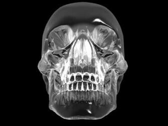 Skull Crystalskull Crystal