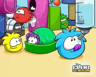 White Puffle Puffleville Powered By Wikia