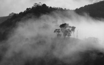 Misty Mountain Wallpaper