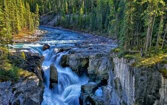 Waterfall River Rocks Forest Trees Rivers Wallpaper Background