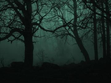 Creepy Trees Desktop HD Wallpaper 117485jpg