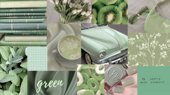 Sage Green Aesthetic Wallpaper