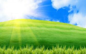 Day Spring Wallpaper Wallpoper