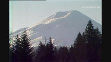 Gophers Integral In Mount St Helens Bounce Back After Eruption