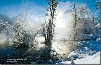 Wallpaper Winter