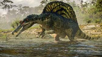 Dinosaur Wallpaper