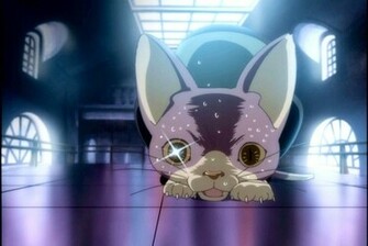 Princess Tutu Photo