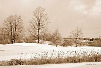 Winter Scene Wallpaper Image And Nature