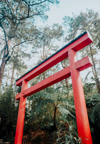 Top Torii Gate Wallpaper Full HD 4k To Use