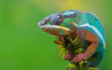 2d Low Poly Chameleon HD Wallpaper