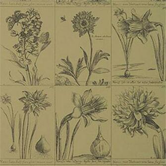 Thibaut Repertoire Prints T5656 Select Wallpaper