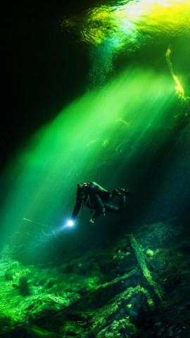 Best Dive iPhone HD Wallpaper