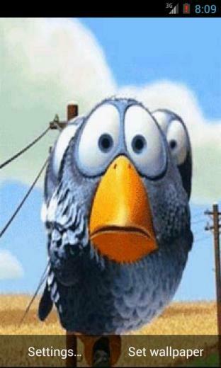Funny Birds Live Wallpaper Android