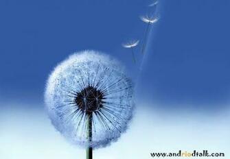Wallpaper For Pc Background Background Mobile