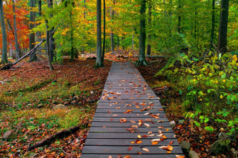 Beautiful Autumn Season Wallpaper HD