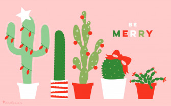 December Christmas Cactus Calendar Wallpaper Sarah Hearts