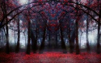 Wallpaper Beautiful HD Magical Red Forest In Focus