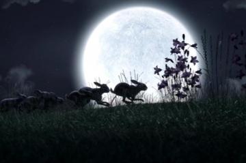 Netflix S Watership Down Proves It Was A Horror Story All Along Vox
