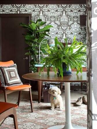 Best Online Sources For Wallpaper Decorating And Design Hgtv