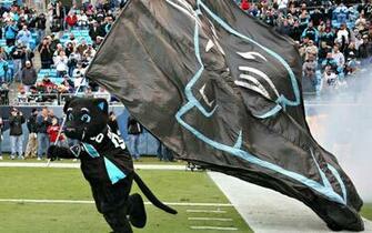 Carolina Panthers Nfl Football Rw Wallpaper