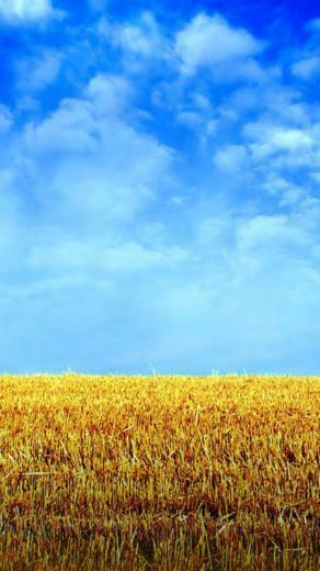 Wallpaper Hay Bale Rick Field Horizon Sony