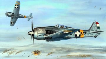 World War Ii Fw Focke Wulf Luftwaffe Germany Military