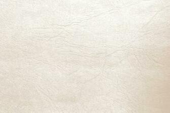 Ivory Cream Colored Leather Texture Picture Photograph Photos