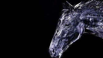 3d Horse Animals Wallpaper Pc Wallpaperlepi
