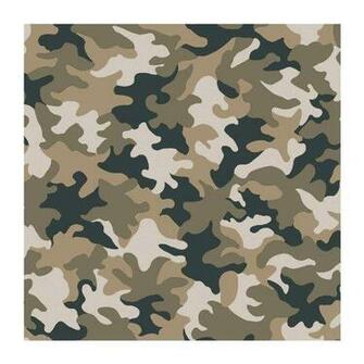 White Camo Wallpaper Image Gallery