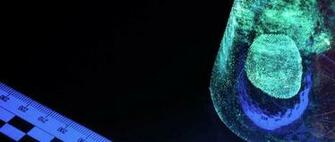 Forensic Science Deakin