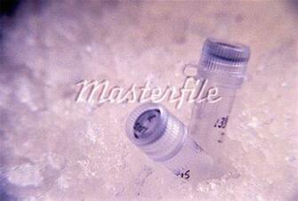 Molecular Biology Wallpaper Proteinsystems Image
