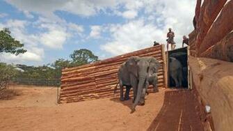 Central African Wilderness Safaris Travel And Holidays