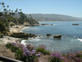 Laguna Beach Pictures Desktop Background