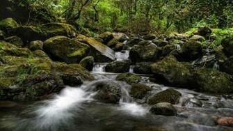 Nature Full HD Wallpaper National Geographic