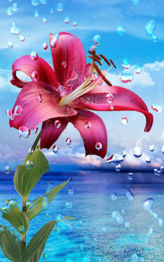 HD Wallpaper 1080p For Mobile Png
