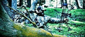 Bow Hunting Archery Archer Arrow Weapon Wallpaper