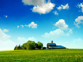 Farmland Blue Skies Bliss Wallpaper Reforming Wall St And Republican