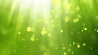Light Green Background Wallpaper